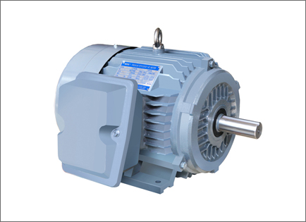 NE系列高效高轉(zhuǎn)矩三相異步電動(dòng)機