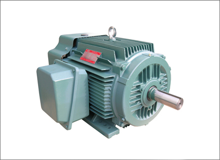 NEP系列超高(gāo)效率三相異步電(diàn)動機