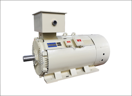 Y2系列高壓(yā)三相異步電動機(ji)