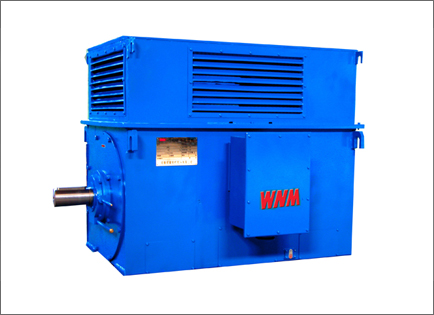 Y系列高壓(ya)高效三相(xiang)異步電動(dòng)機