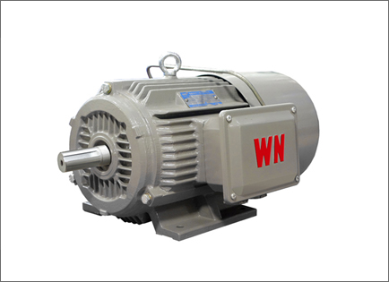 YXEJ系(xì)列高效率電磁制(zhì)動三相異步電動(dong)機