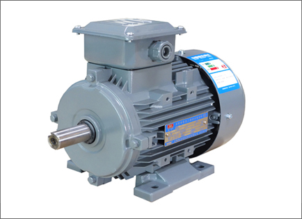 YXL系列高(gāo)效率鋁機殼三相(xiàng)異步電動機