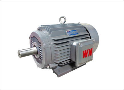 YE3系列超高效三(sān)相異步電動機