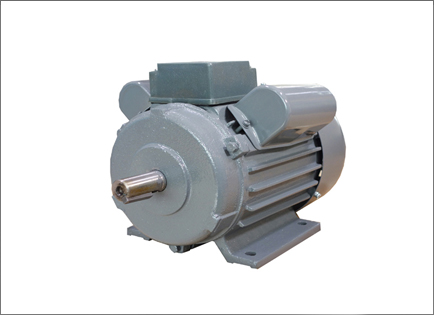 YL系列雙值(zhi)電容異步電動機(ji)
