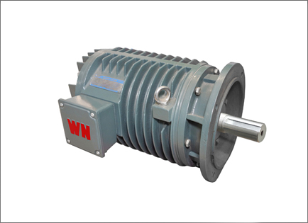 YG系列輥道用調(diao)速三相異步電動(dong)機