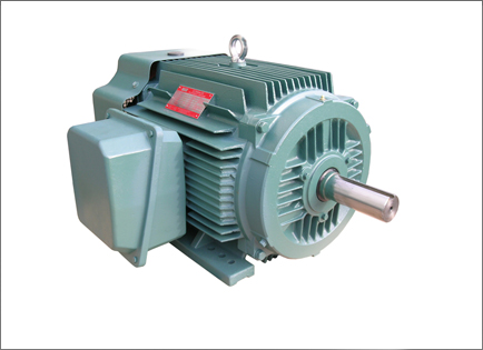 NEP系(xi)列超高效率三相(xiang)異步電動機