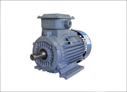 YX3系列超高效(xiào)三相異步電(diàn)動機