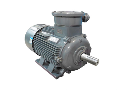 YBX4系列超高效(xiao)率隔爆型三(sān)相異步電動(dòng)機