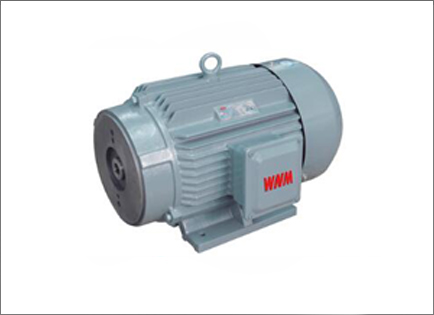 YYB系列油泵(beng)專用三相異(yi)步電動機