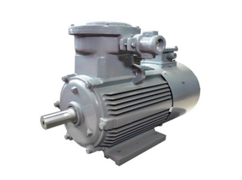 河北(bei)皖南隔(ge)爆電動(dòng)機